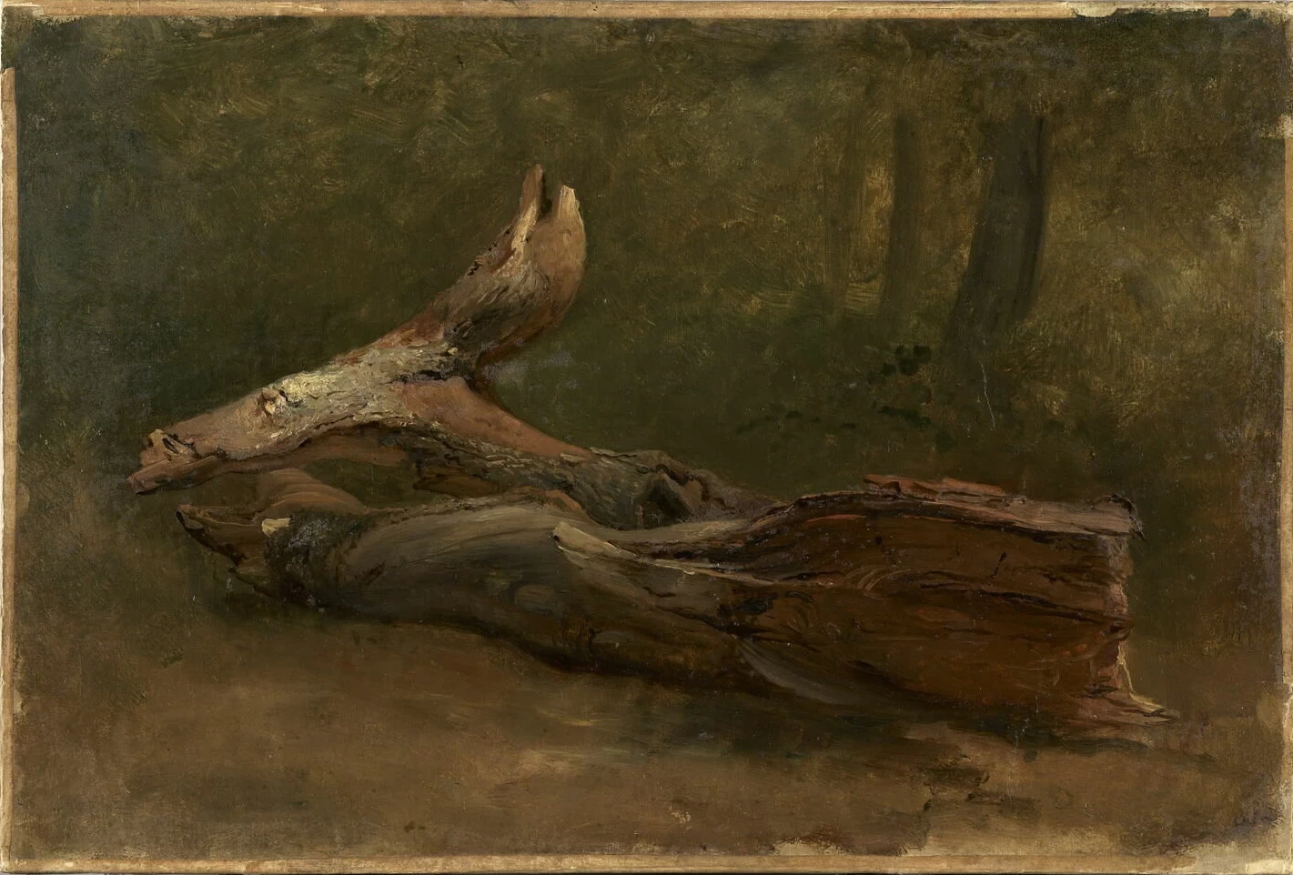 Studio sull'albero sdraiato - Louvre Collections